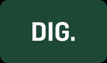 DIG
